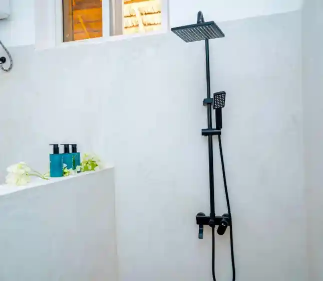 Walk-in shower