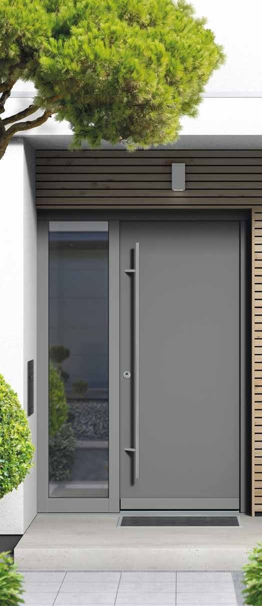 EVOLINE entrance door