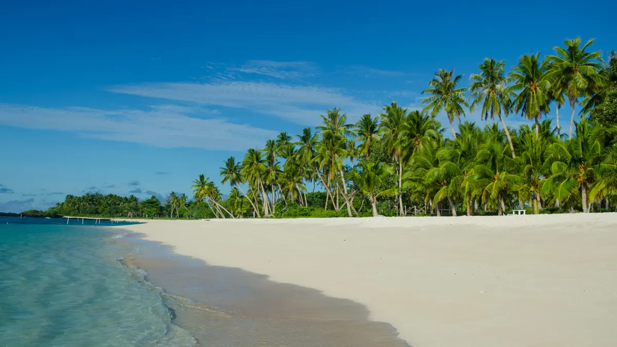Zanzibar beachfront imagery from the ZanziPalms website